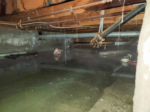 Best Flood damage cleanup  in Spokane, WA