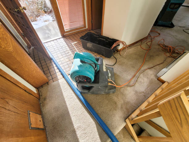 Best Mold removal after water damage  in Spokane, WA
