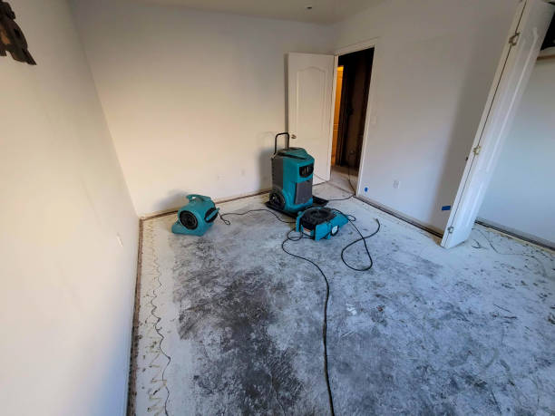 Best Ceiling water damage repair  in Spokane, WA