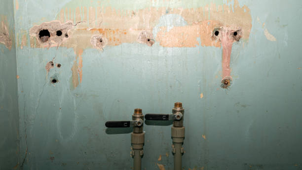 Local water damage restoration in WA